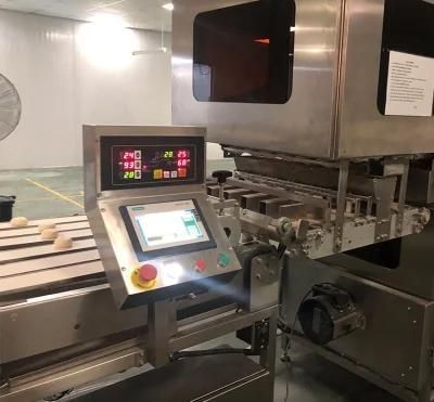 Baking Equipment Flour Milling Machine Making Gluten Bread for China Manufacturer Price