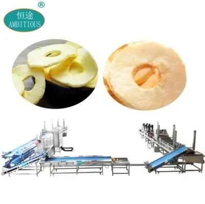 Freeze-Dried Apple Slice Processing Production Line
