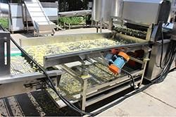 Full Automatic Industrial Potato Chips Making French Fries Machine