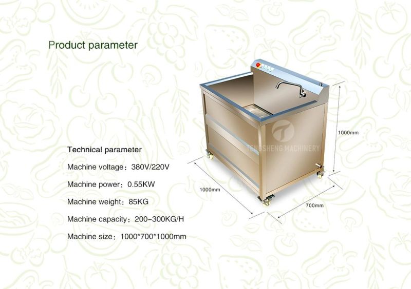 High Pressure Spraying Washing Fruit Vegetable Washer Bubble Cleaning Machine Industrial Ginger Washing Machine (TS-AZ)