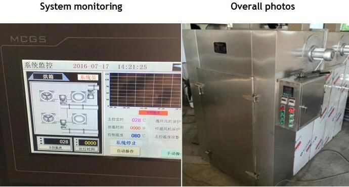 Vegetable and Fruit Processing Drying Machines/Drying Oven