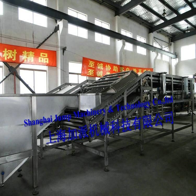 Noni Fruit Juice Processing Whole Line & Noni Ferment Juice Production Line