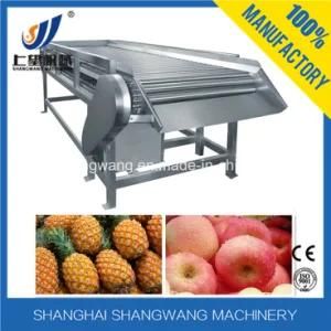 High Quality Apple Processing Machine/Line