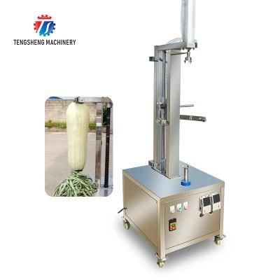 Factory Customized Fruit Vegetable Peeling Machine Electric Peeler Food Processor