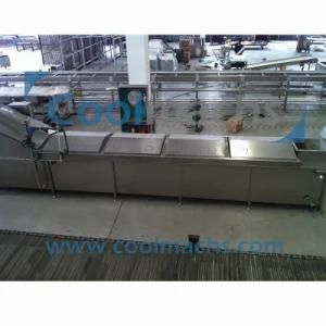 Belt Type Blanching Machine/Food Blancher