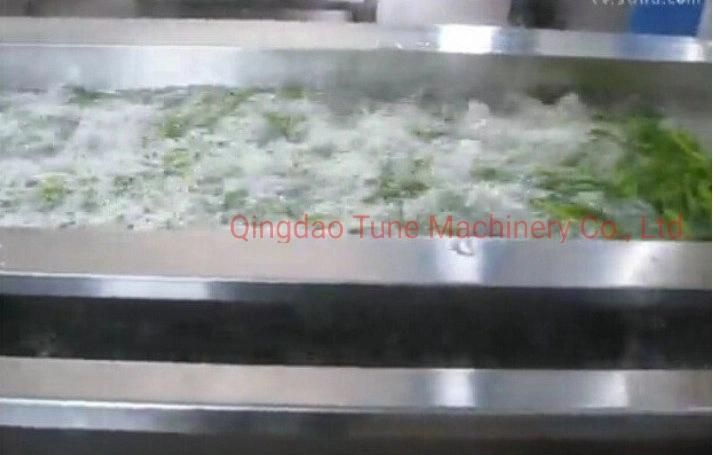 Good Quality Fruit and Vegetable Blancher Machine Potato Fries Blanching Machine