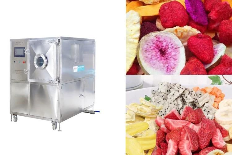 vacuum Freeze Dryer Lyophilization Machine Dried Fruit Lyophilizer Machine