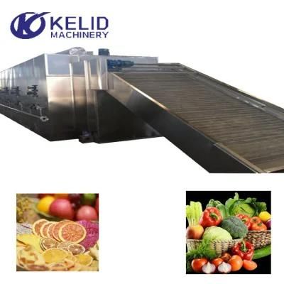 Continuous Drying Back Hot Air Conveyor Mesh Belt Dryer