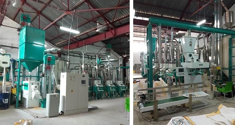 Hongdefa Maize Sifting and Flour Milling Machine in Kenya
