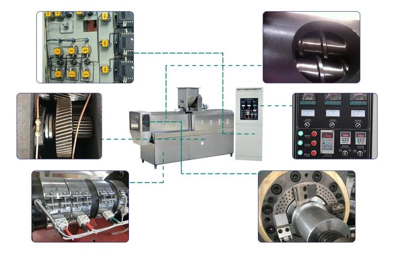 High Speed Pet Food Production Line Floating Fish Food Extruder Machine Dog Food Extrusion Machine