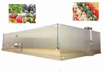 Hot Selling Automatic Vegetable Fruit Frozen Machine