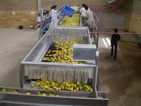 Beverage Machine for Mango Juice, Passion Fruit,
