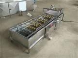 Raisin Processing Machine/Equipment