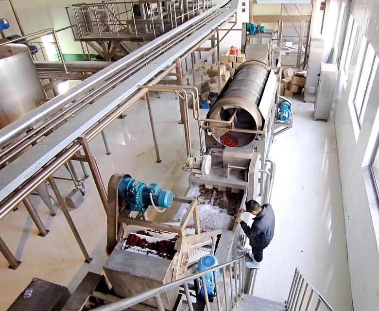 Concentrated Fruit Juice Processing Equipment/ Jujube Juice Production Machine