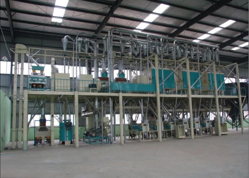 100t/24 Hrs High Quality Maize Milling Processing Plant