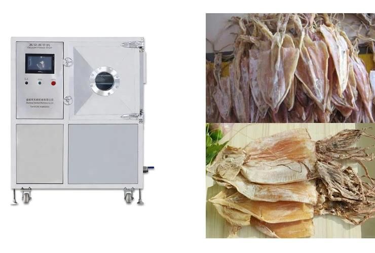 Freeze Food Drying Machine Industrial Lyophilizer Squid Freeze Dryer