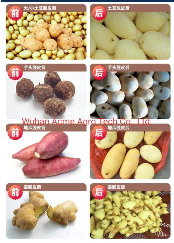 Commercial Potato Peeler and Cutter Machine Price