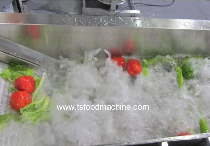 Ozone Generator Sterilization Fruit and Vegetable Washer