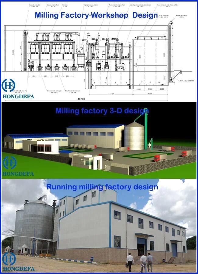 Maize Processing Machine for Making Flour Grits Meal