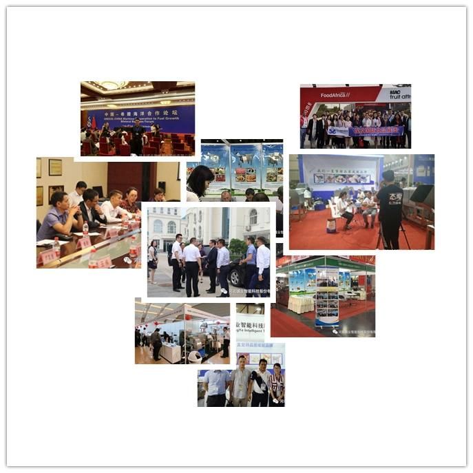 Beef Meat Dicer Raw Frozen Meat Dicer Machine Cold Cut Meat Cutting Machine