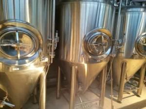Food Grade Stainless Steel Custom Brewing Fermenter Tank Bright Beer Tanks