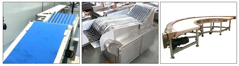 Industrial and High Quality Chotolate Biscuit Making Machine for Sale Industrial Small Biscuit Machine
