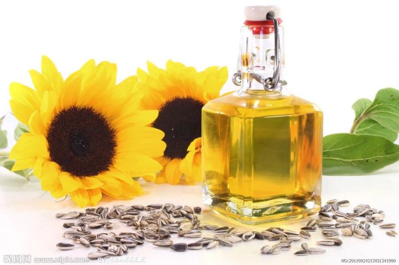 Edible Oil Refining Refinery Press Processing Making Extraction Machine