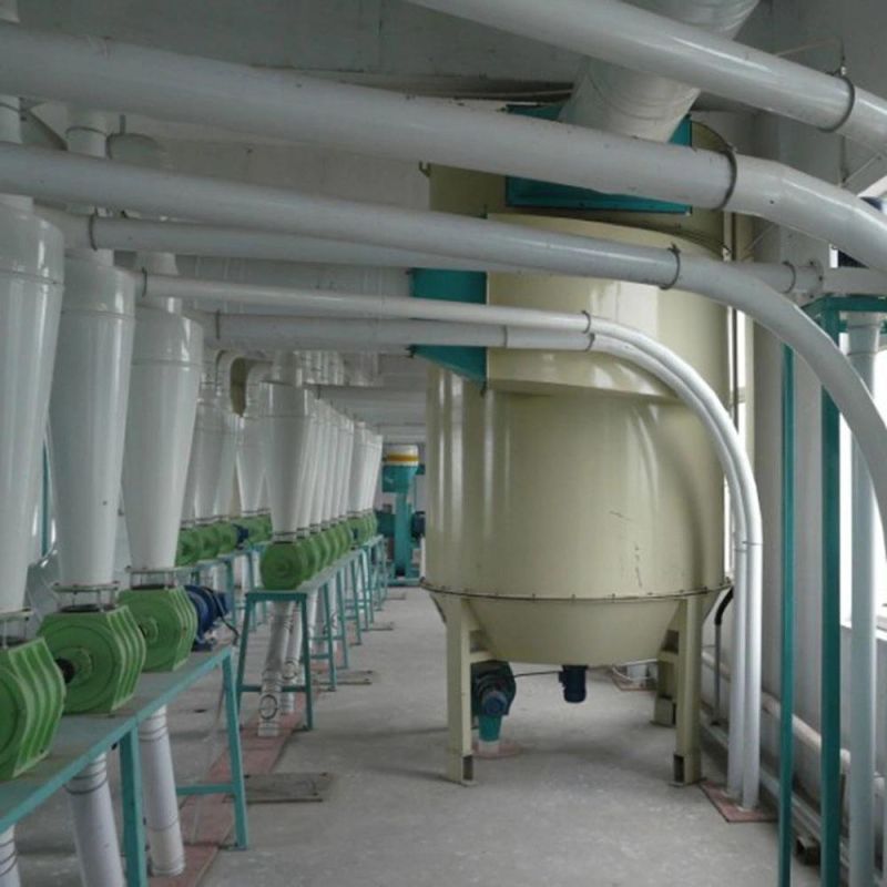 300t/24h Wheat Flour Mill