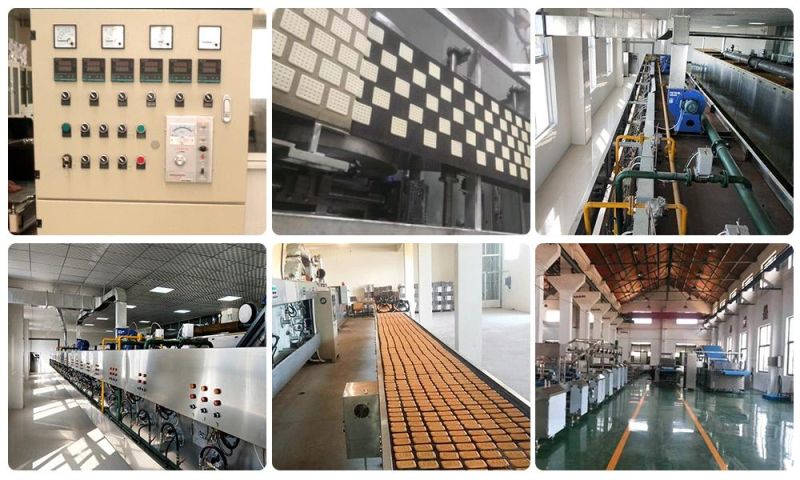 Stainless Steel Hard Biscuit Production Line Soft and Hard Biscuit Processing Line Automatic Soft and Hard Biscuit Making Machinery