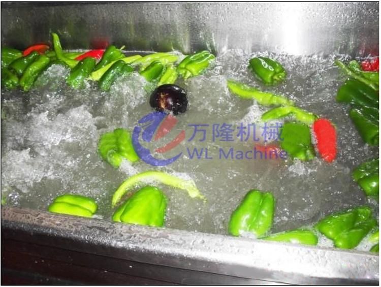 Leaf Vegetable Ozone Bubble Washing Machine Cabbage Tomato Lettuce Ozone Bubble Washer