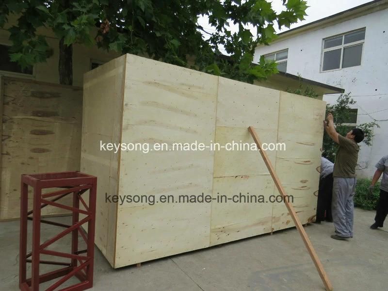 Lemon/Orange/Pear/Apple/Pear/Date/Avocado Washing Machine/Washers Machine