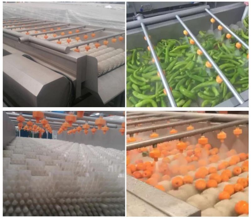 Manufacturer Supply Industrial Professional Technical Herbs/Potato/Carrot/ Ginger Washing Machine