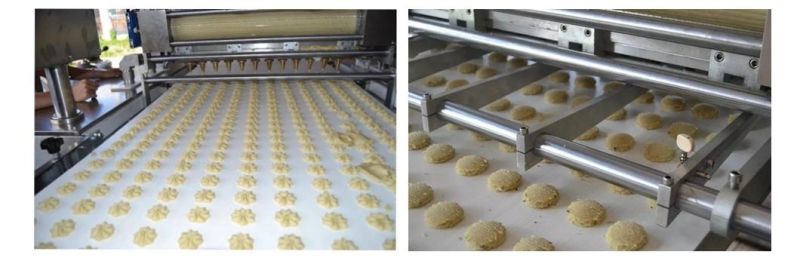 Skywin Cookie Cutter Machine Cookies Making Machine Small Automatic in China