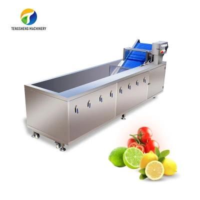 Industrial Automatic Food Processor Fruit Vegetable Ozone Bubble Washer Ultrasonic Ginger ...