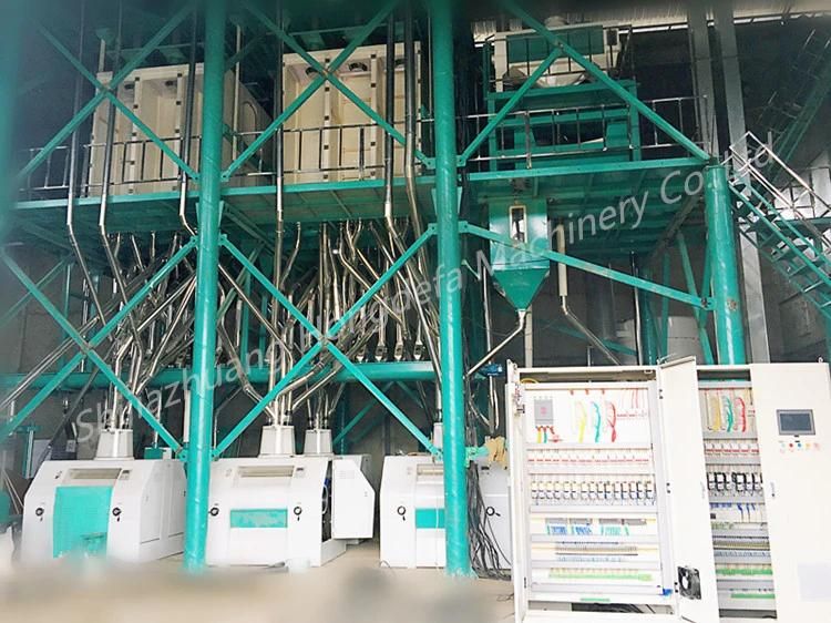 Africa 80t/24h Wheat Flour Mill Machine Make Biscuits Cake Pasta