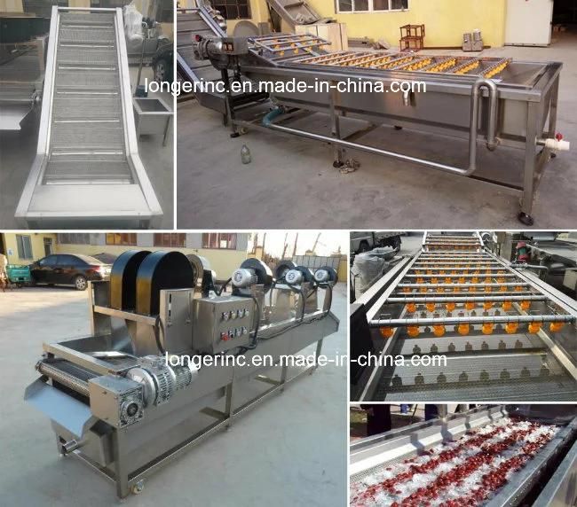 High Efficient Date Plam Washing Line Dates Cleaning Machine