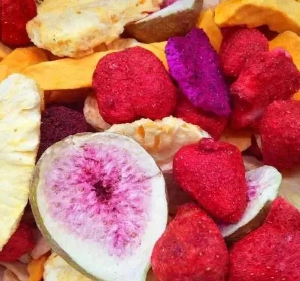 vacuum Freeze Dryer Lyophilization Machine Dried Fruit Lyophilizer Machine