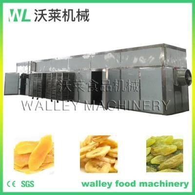 China Fruit Mango Grape Banana Room Dryer Machine