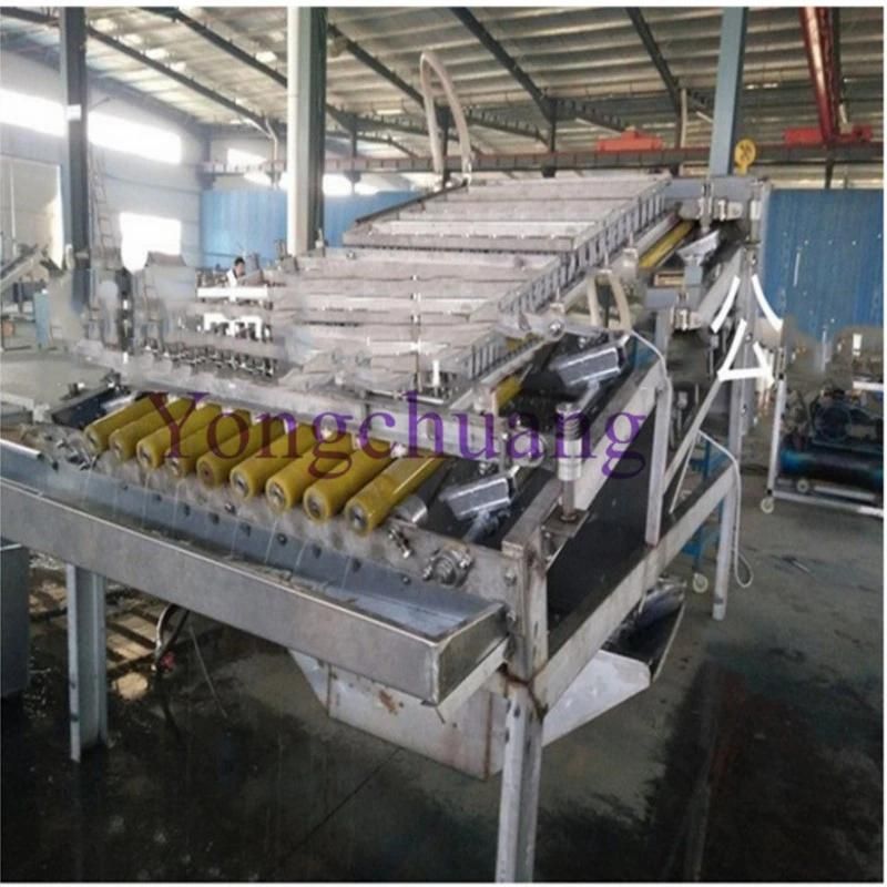 Remove Shrimp Shell Peeling Machine with High Capacity