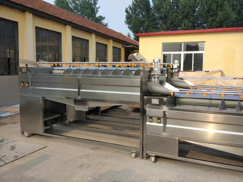 Brush Potato Carrots Washing and Peeling Food Machine
