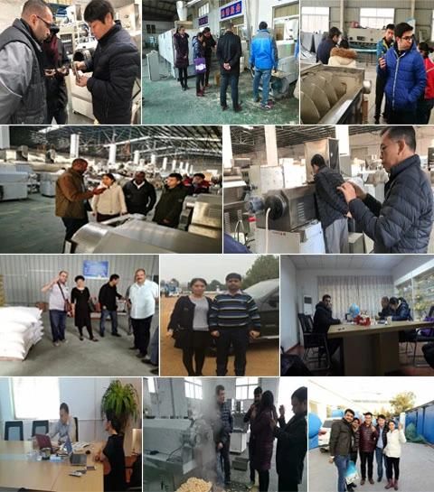 Dry Wet Fish Dog Pet Food Extrusion Machine