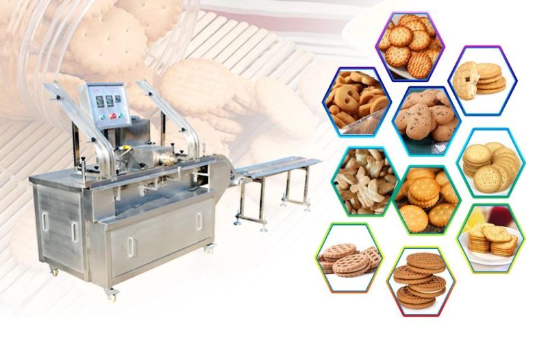 High Quality and Industrial Shrimp Cookies Making Machine for Business Made in China Baby Biscuit Machine
