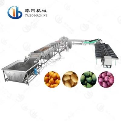 Industrial Avocado Orange Lemon Grapefruit Mango Washing Waxing Weight Grading Line for ...