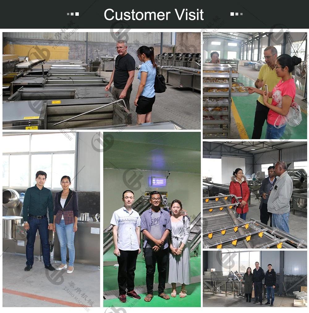Automatic Papaya Pear Citrus Washing Cutting Drying Line with CE Certification
