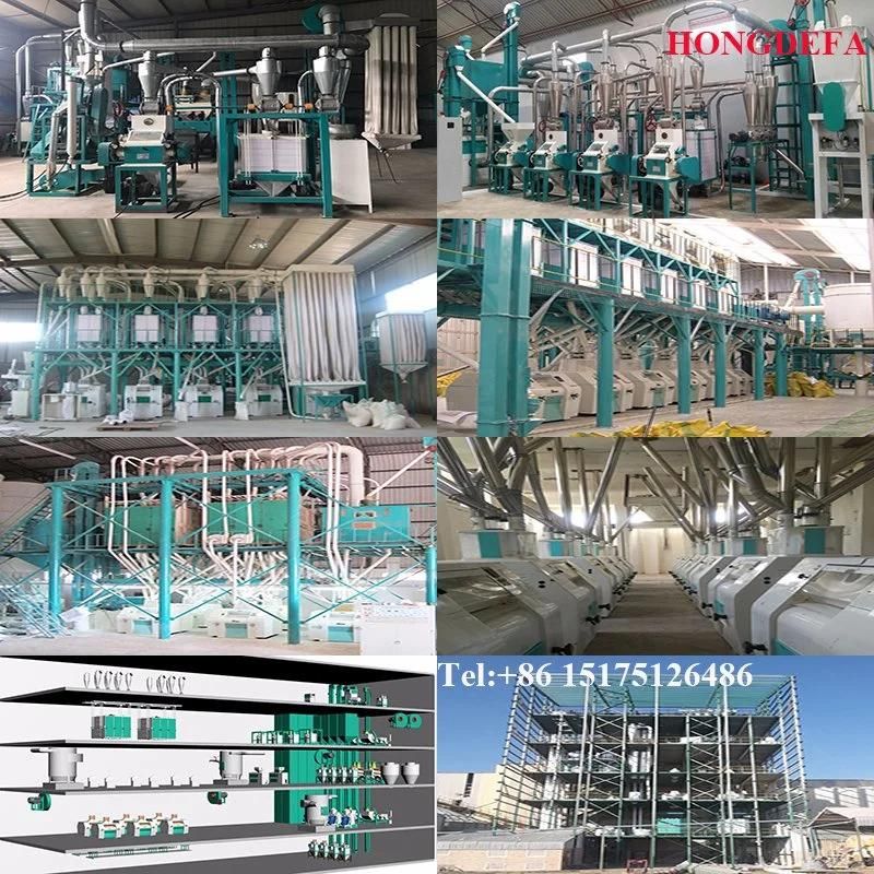 Maize Milling Machine for Super White Maize Meal for Kenya Market