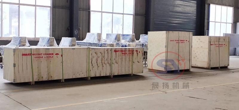 Food Poultry Prawn Weight Sorter Grading Machine with Touch Screen