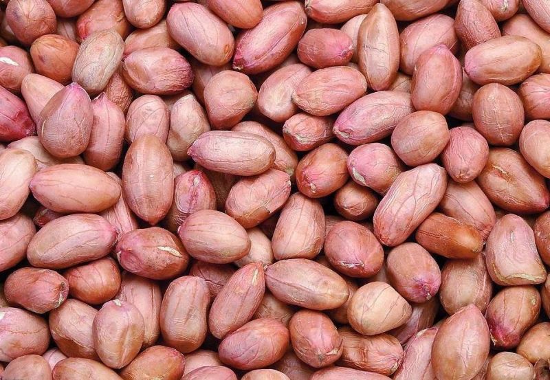 Belt Blancher Groundnut Peanut Blanching Machine