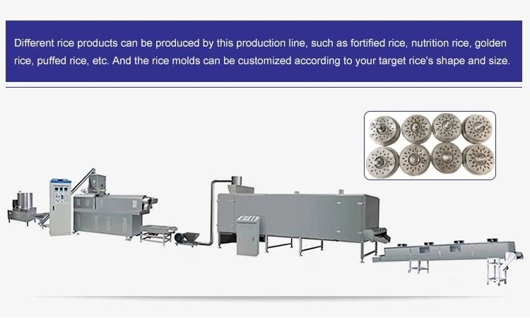 Fully Automatic Industrial Nutrition Rice Machine