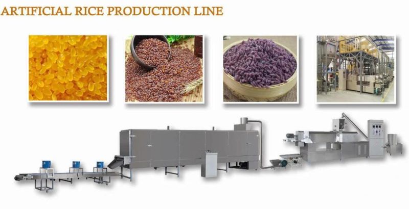 China Double Screw Nutrition Food Making Machine