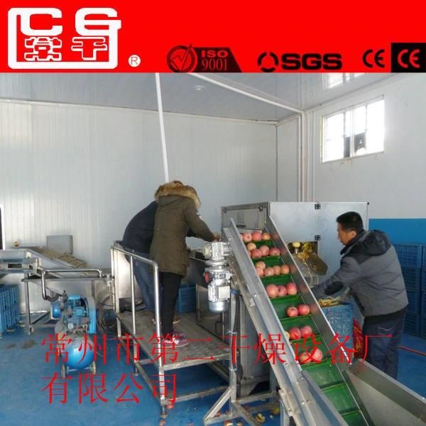 CE Approvedconveyor Drying Machine, Conveyor Mesh Belt Dryer